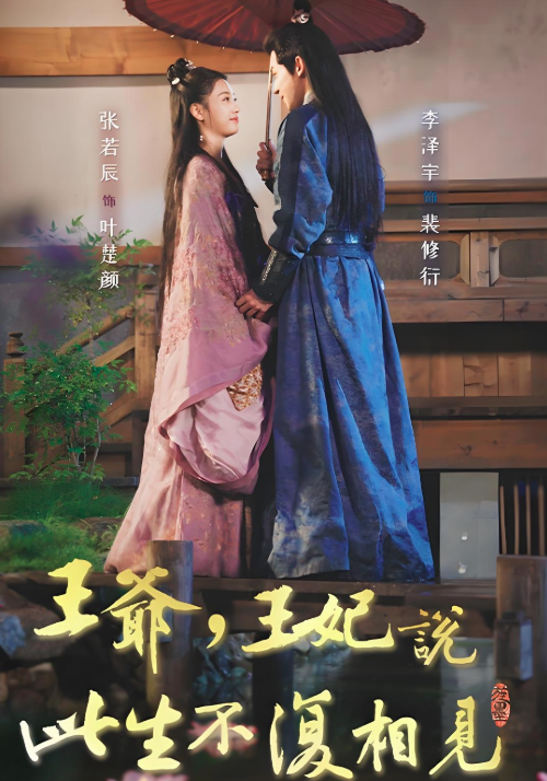 王爷，王妃说此生不复相见