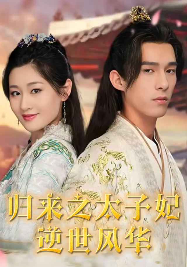 归来之太子妃逆世风华