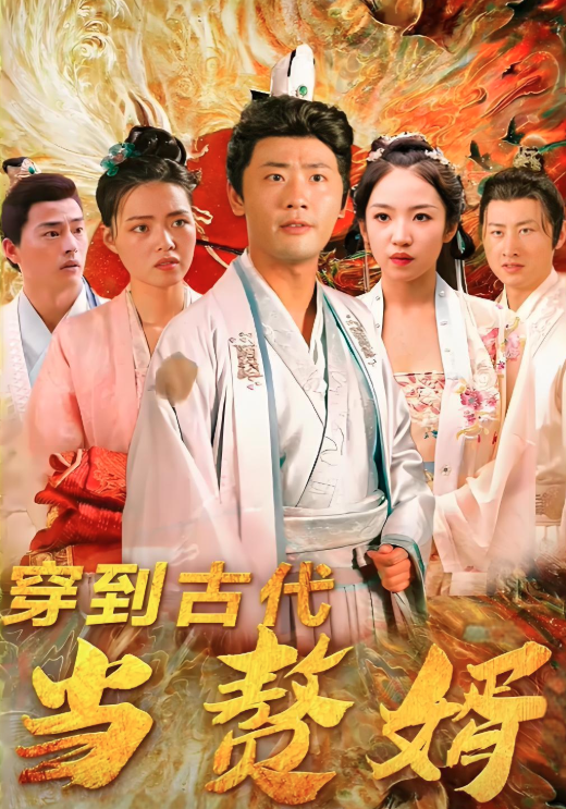 穿到古代当赘婿