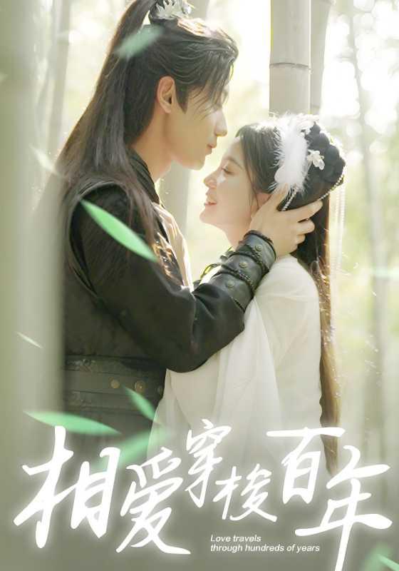 相爱穿梭百年