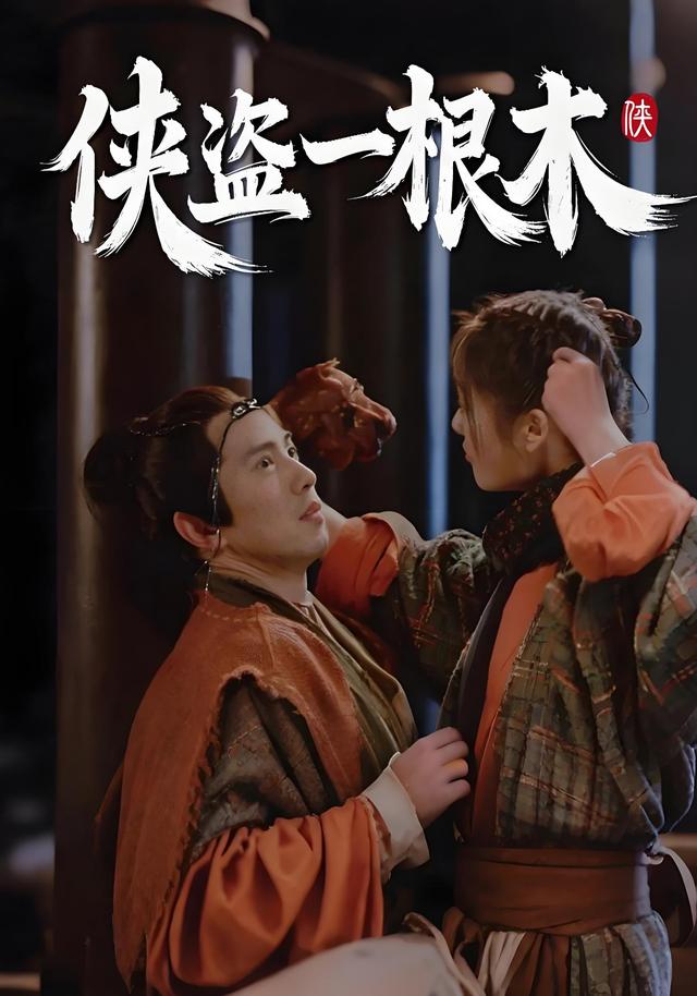 侠盗一根木