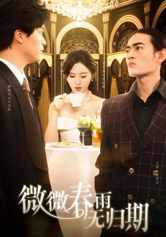 微微春雨无归期