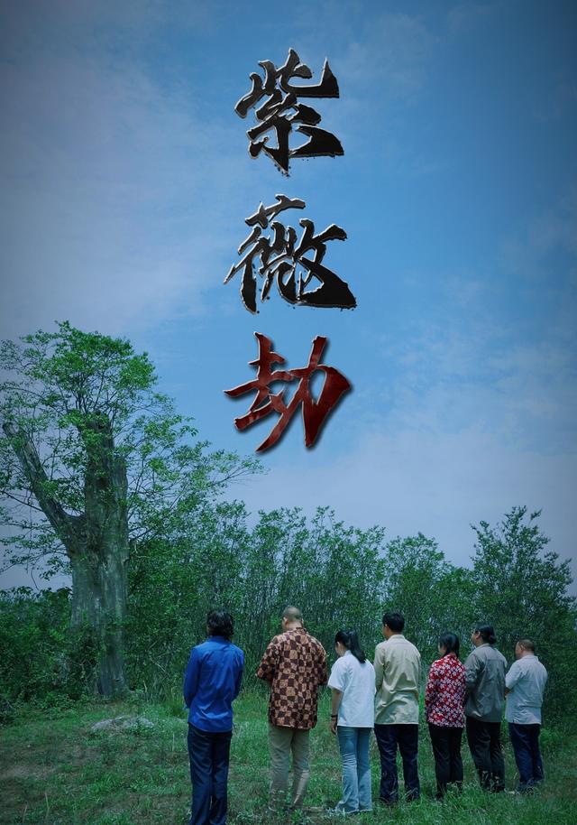 紫薇劫