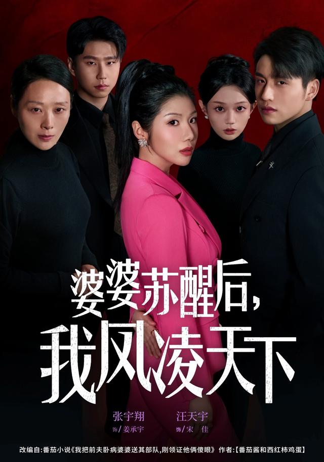 婆婆苏醒后，我凤凌天下