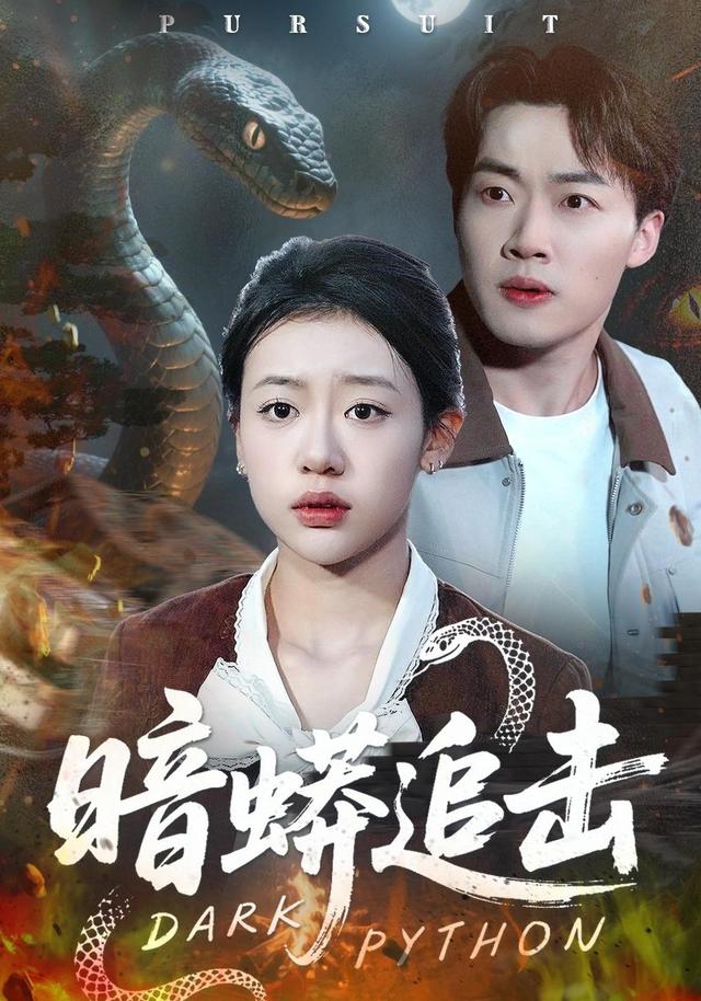 暗蟒追击