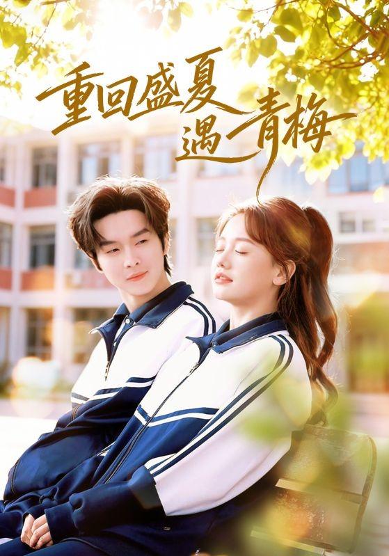 重回盛夏遇青梅