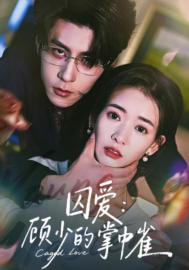 囚爱：顾少的掌中雀