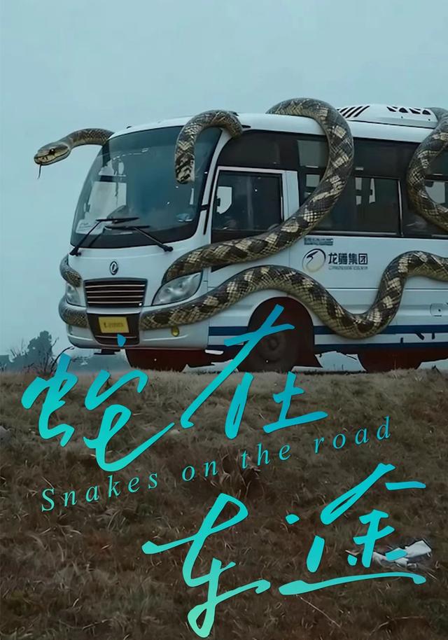 蛇在车途