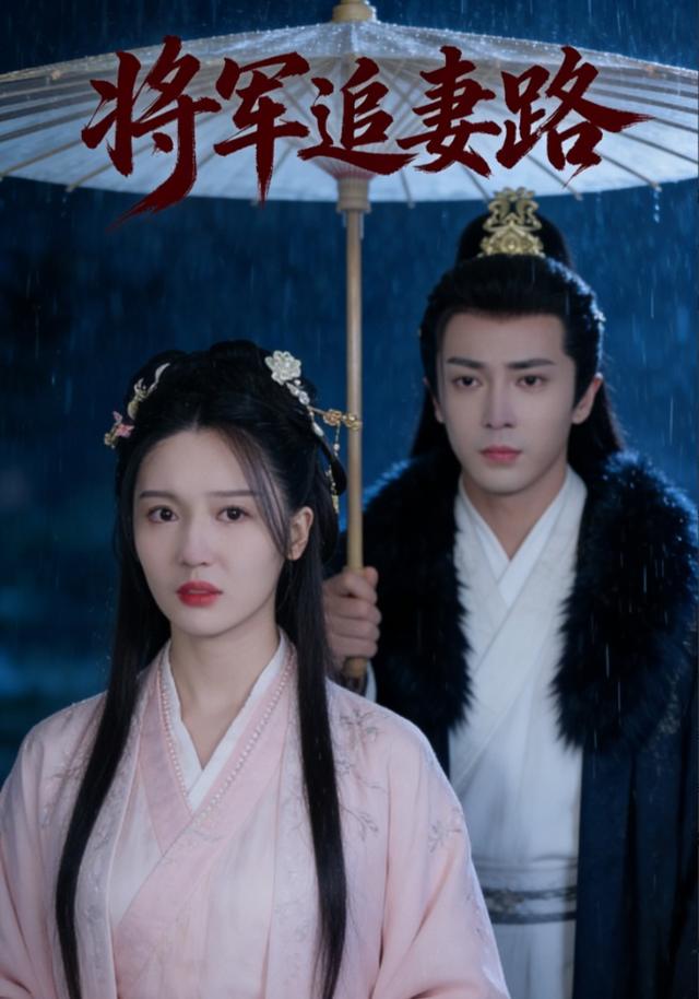 将军追妻路
