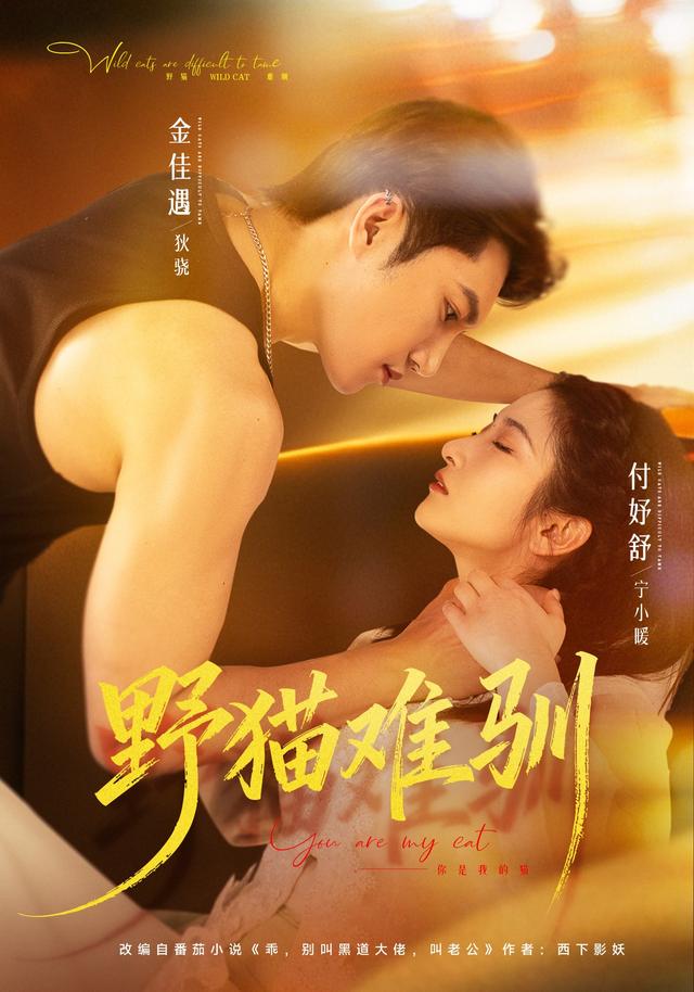 野猫难驯