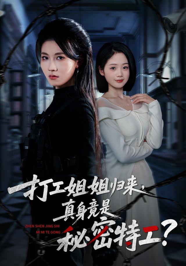 打工姐姐归来，真身竟是秘密特工？