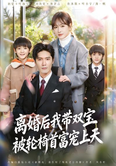离婚后我带双宝被轮椅首富宠上天
