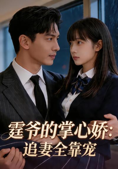 霆爷的掌心娇：追妻全靠宠