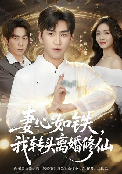 妻心如铁，我转头离婚修仙
