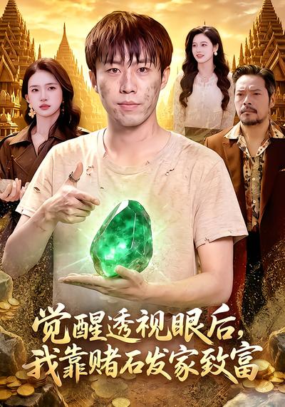 觉醒透视眼后，我靠赌石发家致富
